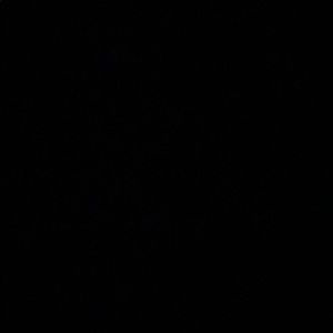 Meet your Posher, Tyrone